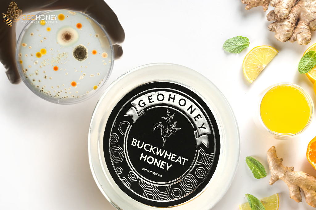 Buckwheat Honey – A Time-Tested Antibacterial And A Natural Immune System Booster